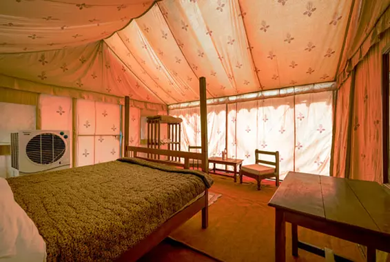 Tent Photo of Prince Desert Camp in Jaisalmer